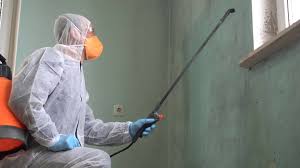  Locust Valley, NY Mold Removal Pros