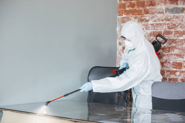 Professional Mold Removal in Locust Valley, NY