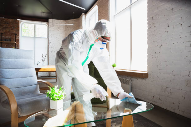 Why You Should Choose Our Mold Remediation Services in Locust Valley, NY